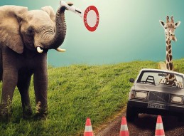 LIBRO DE CUENTOS, RIMAS Y DIBUJOS DE ZARANDONA EDICION 2017