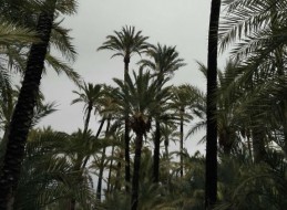 OTO&Ntilde;O CULTURAL 2017 EN SANTIAGO Y ZARAICHE