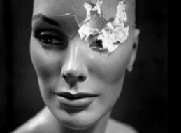 TRAMPA PARA P&Aacute;JAROS