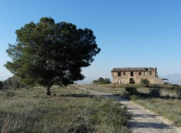 SANGONERA LA VERDE. UN PATRIMONIO POR DESCUBRIR II